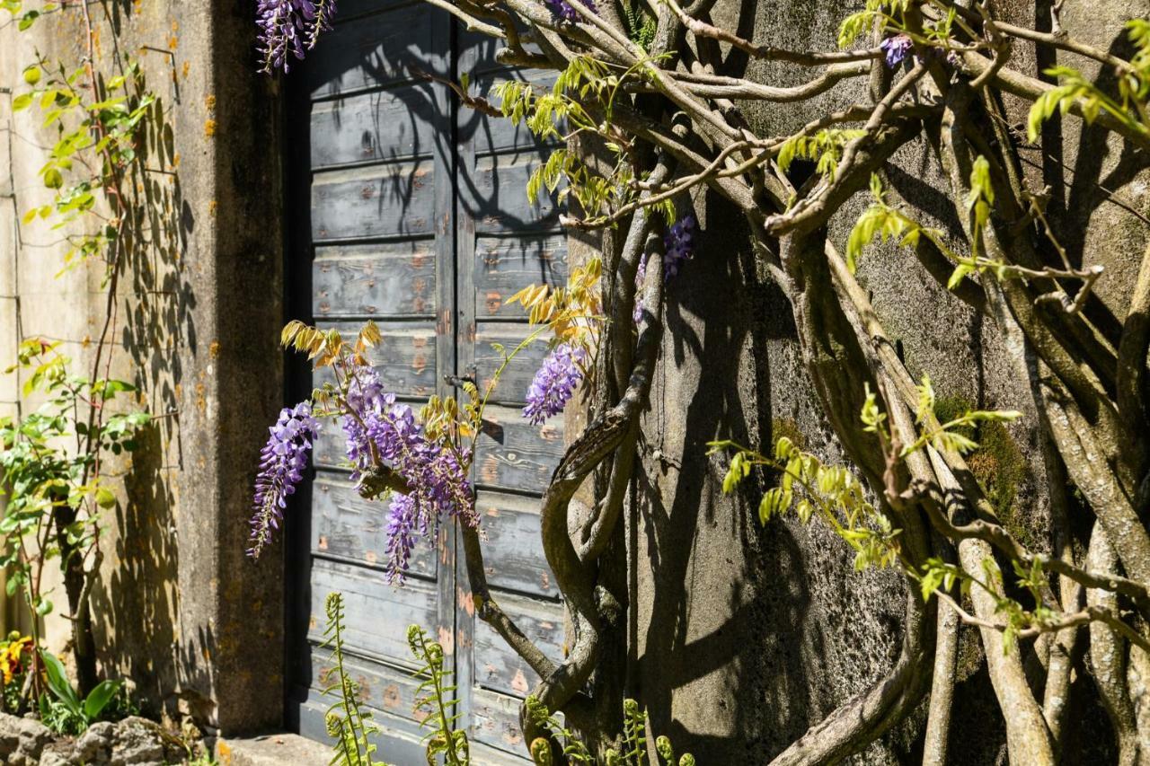 Auvernier Magnifique Maison Vigneronne Avec Grand Jardin 빌라 외부 사진